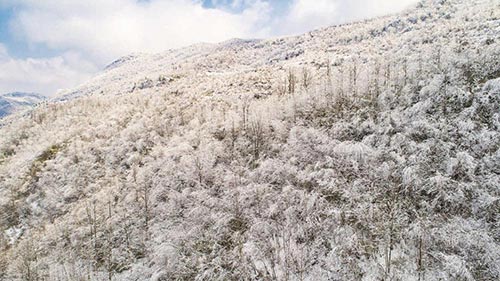 铜仁松桃：春节假期游客玩得欢